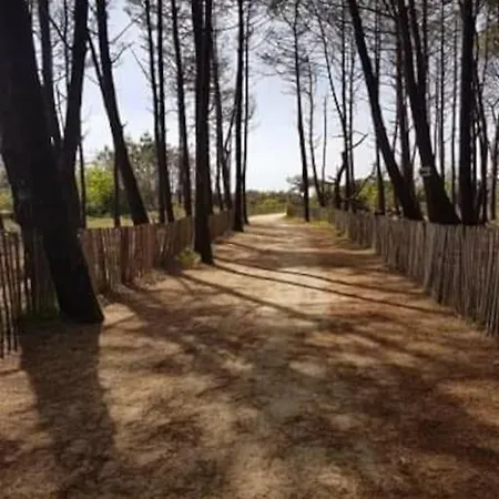 Maisonnette 3 - Confort Apartament